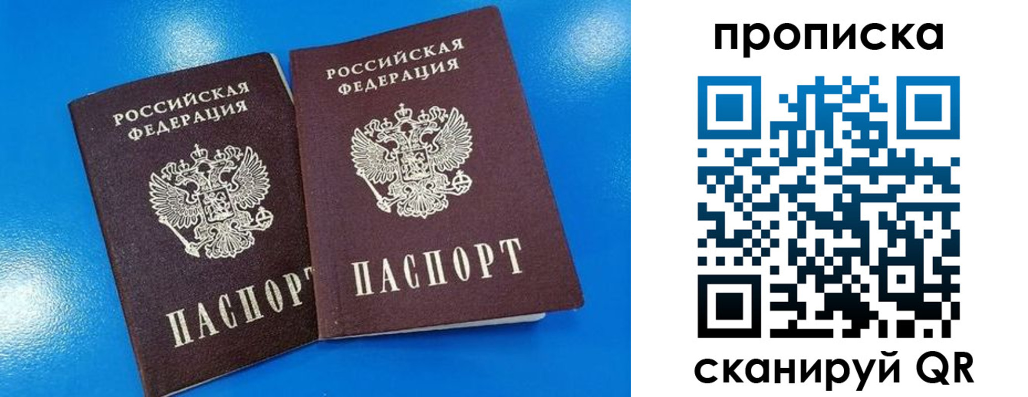прописка для школы в Сельцо